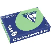 Clairefontaine Färgat papper Trophée A4 160 g/m² naturgrön