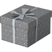 Esselte Home - Förvaringsbox - small - grå (paket om 3)