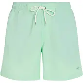 O'Neill Vert 16'' Boardshorts mildrew mint Storlek S