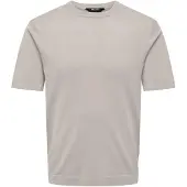 Only & Sons T-shirt 'Wyler' grå
