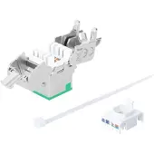 Intellinet 766623791335, Platt, Grön, RJ-45, IDC, Honkoppling, Guld