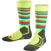 Falke Sk2 Stripe Socks Grönt EU 35-38 Pojke