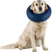 Trixie Inflatable Protector Hundhalsband