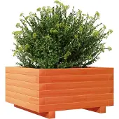 vidaXL Odlingslåda vaxbrun 50x50x26,5 cm massiv furu