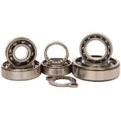 Hotrods Suzuki Lt-r 450 06-09 Styrlagerkit