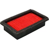 Champion Luftfilter CAF3613