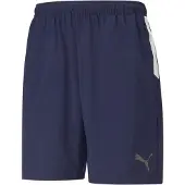 Puma Sportbyxa 'Teamliga Sideline' nattblå / grå