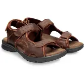 Panama jack Sandal brun