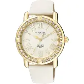 Q&Q armbandsur DA93J104N