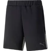 Puma Shorts Teamcup Casuals - Svart, storlek Small