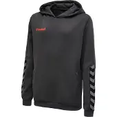 Hummel Authentic Tröja Med Huva