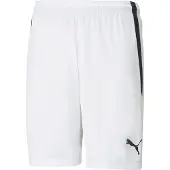 Puma Shorts Teamliga - Vit, storlek X-Large