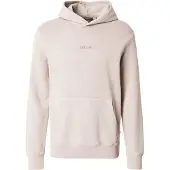 Superdry för män. M2014031A Beige sweatshirt med huva och mikrologo med mikrologo (M), Casual, Bomull