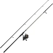 Mitchell Catch Pro Ii Karpfiskekombo