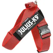 Julius-K9 Idc Norwegian Hundsele