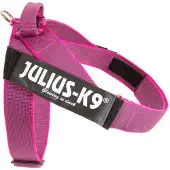 JULIUS K-9 Idc Norwegian Hundsele