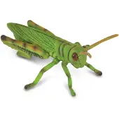Collecta Grasshopper figurine (004-88352)