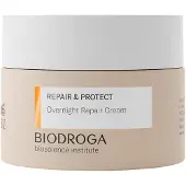 Biodroga Bioscience Institute Repair & Protect Overnight Repair Cream Night Cream 50 ml - Anti-Age Moisturizer fr fast hudlinjeminskning och ene