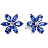 Pandora Timeless Sparkling Herbarium Cluster Sterling silver örhängen 292407C01