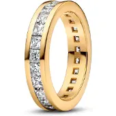 Pandora Timeless Double Band ring 163797C01-56