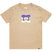 Dc-shoes Metallic Star T-shirt Med Korta ärmar
