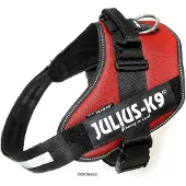 JULIUS K-9 Idc Power Hundsele