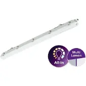 Signify Philips Ledinaire industribelysning IP65 WT065C LED 2900-4800 lm/840, genomtrådning