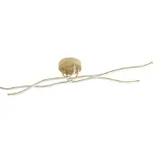 Eglo RONCADE 2 taklampa L1100 träfärgad