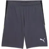 Puma Liga Shorts
