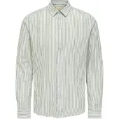 Only & Sons Skjorta 'ONSCaiden' grön / pastellgrön