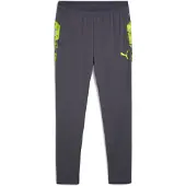 Puma Träningsbyxor IndividualCUP - Grå/Lime Grön, storlek Small