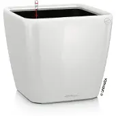 Lechuza Quadro Premium 16120 Planteringsfat Vit