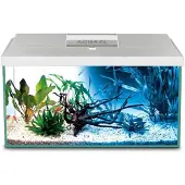 Aquael Shirmp D And N Komplett Akvarium 19l