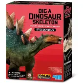 4M Stegosaurus-skelett Utgrävningsset