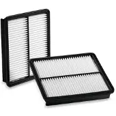 PURFLUX Filter kupeventilation AH221 Purflux
