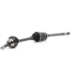 MAGNETI MARELLI Drivaxel 302004190116
