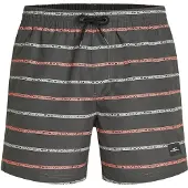 O'Neill Cali First 15'' Boardshorts grey o/neill stripe, XXL