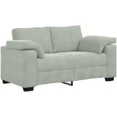 vidaXL Loveseat soffa ljusgrå 160x77x82 cm sammet