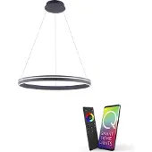Paul Neuhaus Smart pendellampa Q-Vito, dimbar, Svart, Vardagsrum / matsal, Metall, Modern, Smarta hem pendellampa