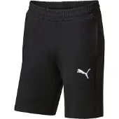 Puma teamGOAL Casuals Shorts 658608-03