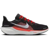 Nike Löparskor Nike Pegasus 41 fd2722-008