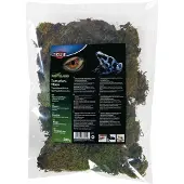 Trixie Reptiland Terrarium Moss Brown 200 g