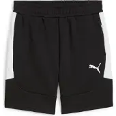 Puma Shorts Teamevostripe - Svart/Silver/White, storlek X-Small