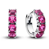Pandora Timeless örhängen 293851C02