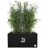 Elho Modern Svart Rektangulär Blomkruka | 78 cm Plast
