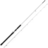 Abu Garcia Beast X2 Trolling