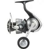 Daiwa 24 Certate SW (G)