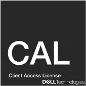 Dell Microsoft Windows Server 2019/2022 Standard or Datacenter - Licens - 10 användare CAL