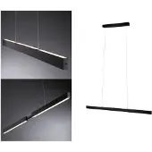 Paulmann Aptare 76989 LED-pendelbelysning LED 33 W Svart