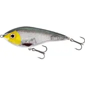 Westin Swim 15 cm Jerkbete